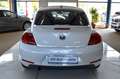 Volkswagen Beetle Lim. Cup KLIMAAUTO./ TEMPOMAT / PDC Blanc - thumbnail 6