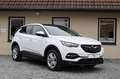 Opel Grandland X 1,5D Kamera/Lenkradh./Panoramadach Bianco - thumbnail 14