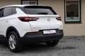Opel Grandland X 1,5D Kamera/Lenkradh./Panoramadach Bianco - thumbnail 20