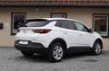 Opel Grandland X 1,5D Kamera/Lenkradh./Panoramadach Bianco - thumbnail 16