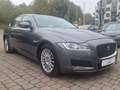 Jaguar XF XF 2.0 D E-Performance Prestige Gris - thumbnail 2