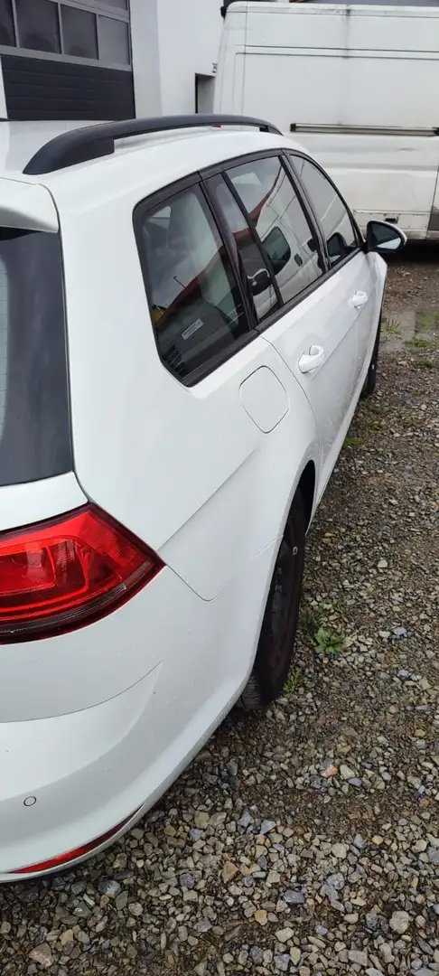 Volkswagen Golf 1.6 TDI 4Motion BlueMotion Technology Lounge - 1