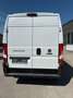 Fiat Ducato 140 L2H2 KW30 Innenausbau; Schwingsitz, Service uvm. Weiß - thumbnail 5