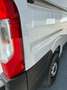 Fiat Ducato 140 L2H2 KW30 Innenausbau; Schwingsitz, Service uvm. Weiß - thumbnail 4