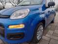 Fiat Panda 1.0 FIREFLY HIBRID KM0 NO OBB.FINANZIAM. IVA ESP. Blu/Azzurro - thumbnail 14
