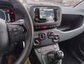 Fiat Panda 1.0 FIREFLY HIBRID KM0 NO OBB.FINANZIAM. IVA ESP. Blu/Azzurro - thumbnail 11