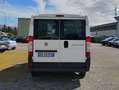 Fiat Ducato 2.3 multjet Blanc - thumbnail 4