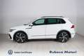 Volkswagen Tiguan 1.5 TSI DSG R-Line 150CV Wit - thumbnail 3
