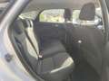 Ford Focus 1.6TDCi Edition 115 Weiß - thumbnail 18