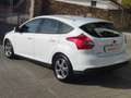 Ford Focus 1.6TDCi Edition 115 Wit - thumbnail 7