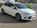Ford Focus 1.6TDCi Edition 115 Blanc - thumbnail 2