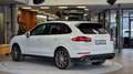 Porsche Cayenne Platinum Edition Aut. *Pano*Luftfe*Kamera*AHK* Weiß - thumbnail 13