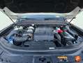 SsangYong Musso Sports D22DTR 4x4 Pro Blanco - thumbnail 19