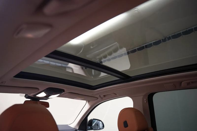 BMW X5 xDrive 45e High Executive Aut. [ Panorama Leder Tr — photo 5