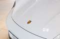 Porsche Taycan 4S Blanco - thumbnail 20