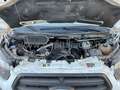 Ford Transit 20 Tdci 130CV SPONDA IDRAULICA NETTO 13000 MOTORE? Bianco - thumbnail 8
