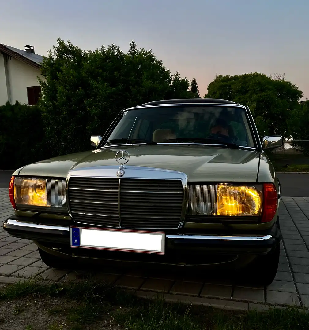 Mercedes-Benz 300 Vert - 1