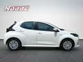 Toyota Yaris Yaris Hybrid 1.5 VVT-i Business Edition Weiß - thumbnail 6
