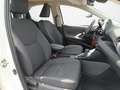 Toyota Yaris Yaris Hybrid 1.5 VVT-i Business Edition Weiß - thumbnail 15