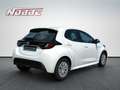 Toyota Yaris Yaris Hybrid 1.5 VVT-i Business Edition Weiß - thumbnail 5