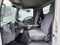 Isuzu NPR75  P75 EVOLUTION Bianco - thumbnail 7