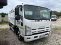 Isuzu NPR75  P75 EVOLUTION Bianco - thumbnail 2