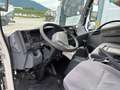 Isuzu NPR75  P75 EVOLUTION Bianco - thumbnail 8