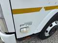 Isuzu NPR75  P75 EVOLUTION Bianco - thumbnail 3