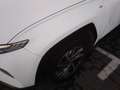 Hyundai TUCSON 1.6 CRDI 48V Tecno 2C 4x2 DT Blanco - thumbnail 25