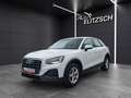 Audi Q2 35 TFSI S-tronic LED Navi PDC SH Weiß - thumbnail 3