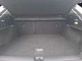 Audi Q2 35 TFSI S-tronic LED Navi PDC SH Weiß - thumbnail 15