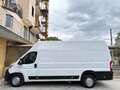 Fiat Ducato 2.3 MJT 130CV L4 H3 Maxi FURGONE. Blanc - thumbnail 7