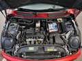 MINI Cooper Cabrio Burdeos - thumbnail 9