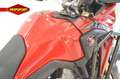 Honda CRF 1000 AFRICA TWIN Rood - thumbnail 9