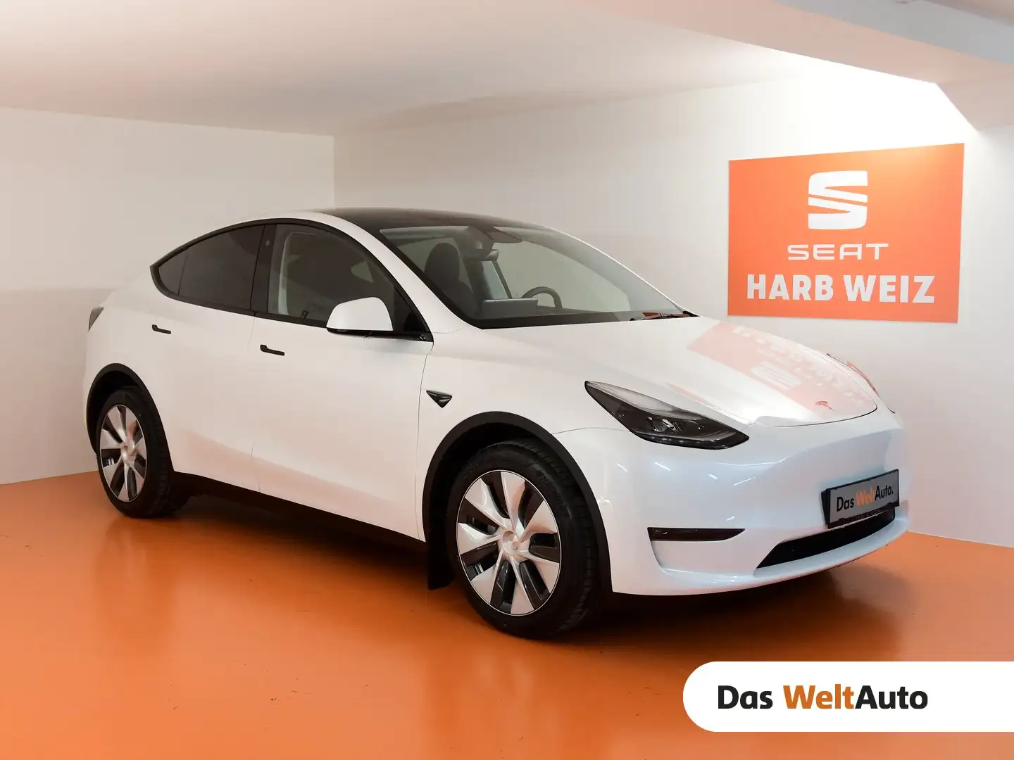 Tesla Model Y Long Range AWD 75kWh Weiß - 1