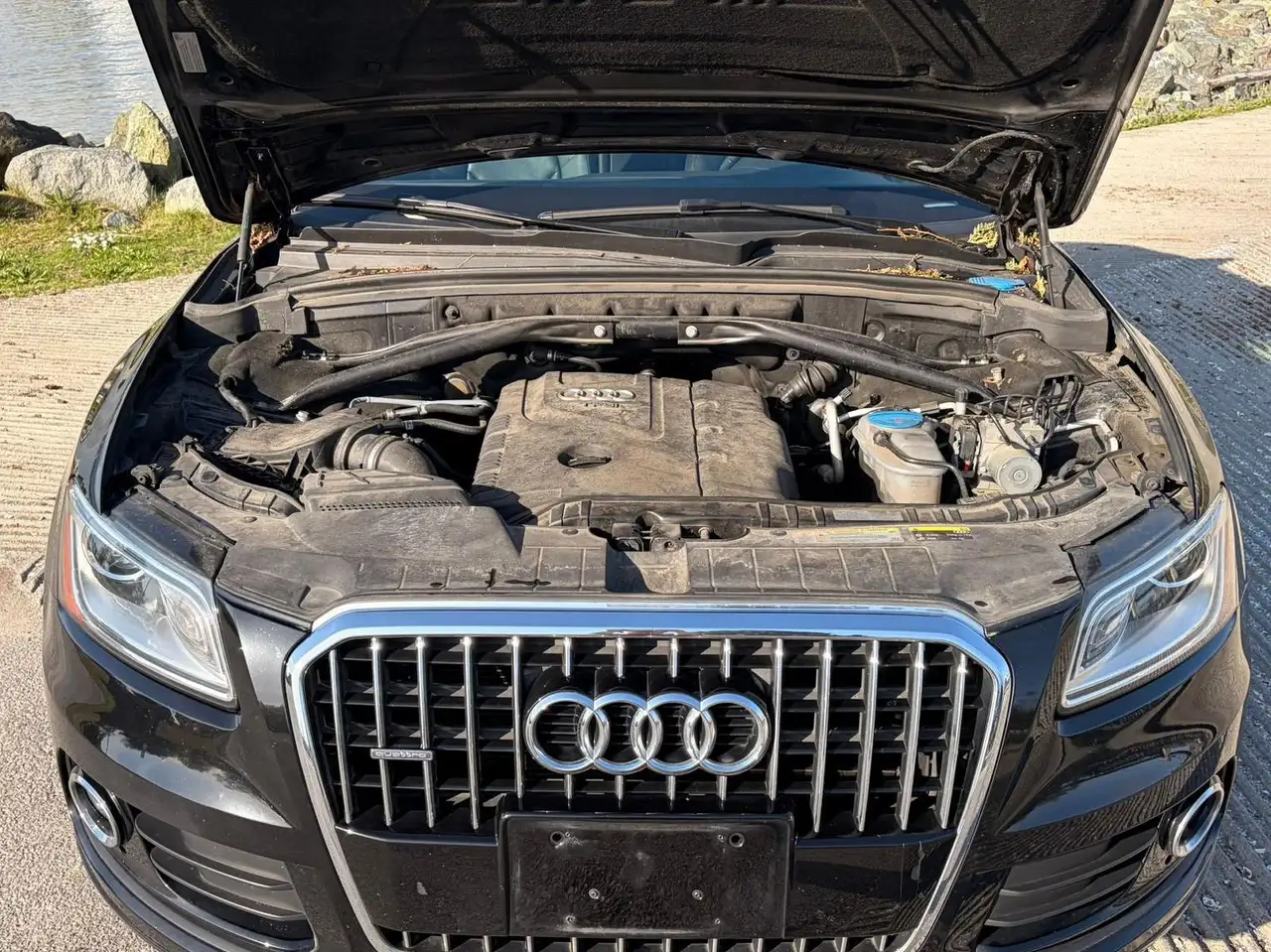 Audi Q5 снимка Audi Q5