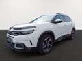 Citroen C5 Aircross PT 130 Business Shine Automatik Weiß - thumbnail 3