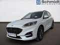 Ford Kuga 2,5 Duratec PHEV ST-Line X Aut. Weiß - thumbnail 1