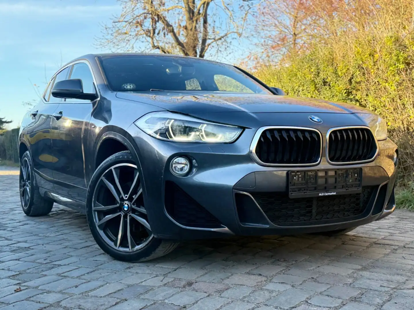 BMW X2 sDrive 18 d M Sport*1ERH&LED&ALCANTARA&PANO* Grau - 1