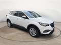 Opel Grandland 1.5 diesel Ecotec Start&Stop Business Edition Beige - thumbnail 2