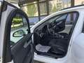 Audi A4 Avant 35 TDI S tronic AHK+LED+NAVI+1.HAND Weiß - thumbnail 11