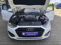 Audi A4 Avant 35 TDI S tronic AHK+LED+NAVI+1.HAND Weiß - thumbnail 9