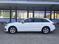 Audi A4 Avant 35 TDI S tronic AHK+LED+NAVI+1.HAND Weiß - thumbnail 8