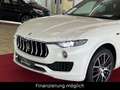 Maserati Levante Q4 Gran Lusso ,Panorama,360 Cam, Weiß - thumbnail 4