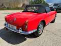 Alfa Romeo Giulia Spider Veloce specifications fully restored in2025 Rot - thumbnail 30
