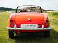 Alfa Romeo Giulia Spider Veloce specifications fully restored in2025 Rot - thumbnail 4