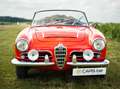 Alfa Romeo Giulia Spider Veloce specifications fully restored in2025 Rot - thumbnail 8