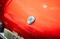 Alfa Romeo Giulia Spider Veloce specifications fully restored in2025 Rot - thumbnail 9