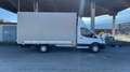 Ford Transit Fahrgestell 350 L3 Einzelkabine Trend Weiß - thumbnail 5