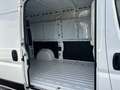 Citroen Jumper 33 2.2 BlueHDi 120 CV L2H2 Furgone Bianco - thumbnail 9